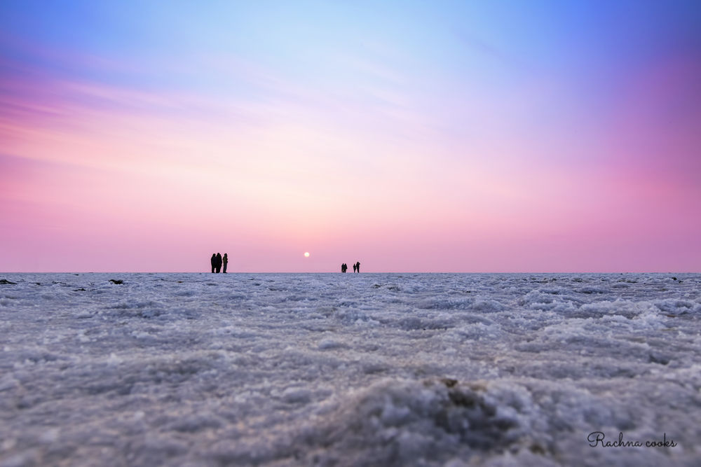 Rann of Kutch Travel Plaza