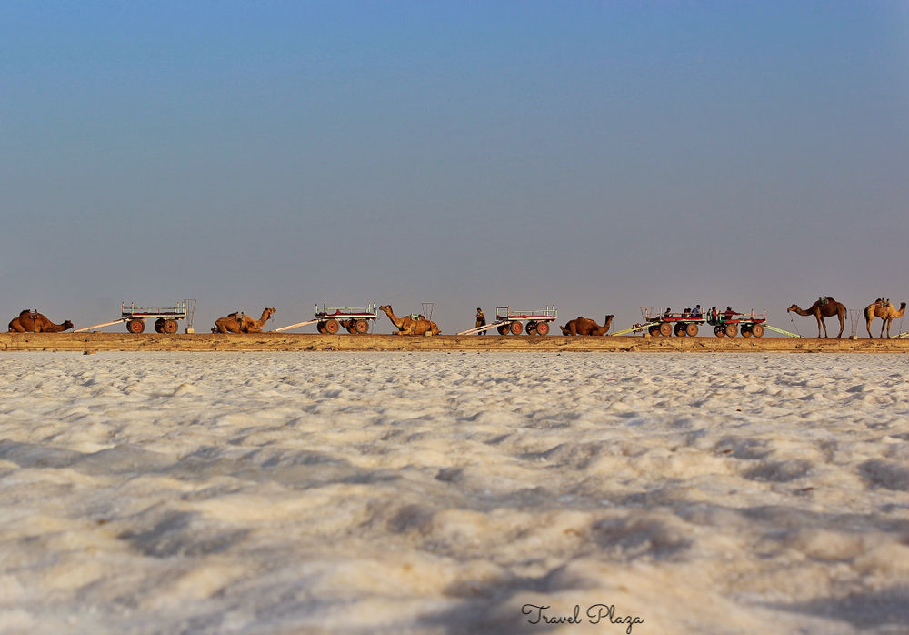 rann of kutch Travel Plaza